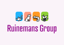 Betta Male Dragon lg